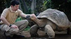 Animaux & Cie : une seconde chance