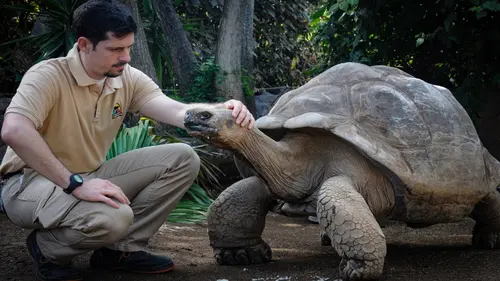 Animaux & Cie : une seconde chance