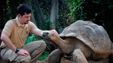 Animaux & Cie : une seconde chance