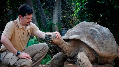 Animaux & Cie : une seconde chance