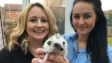 Animaux de compagnie : Le chic à l'anglaise