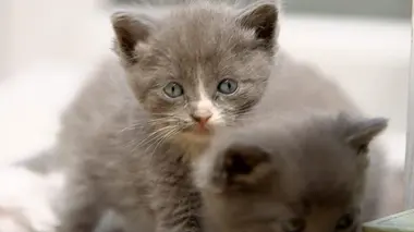 Apprendre à s'épanouir