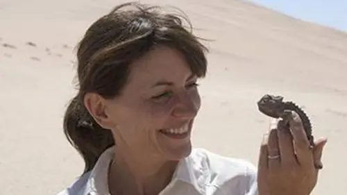 Animaux de l'extrême S01E01 Les déserts