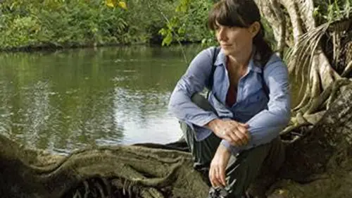 Animaux de l'extrême S01E04 Les forêts tropicales