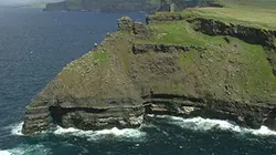 Visuel de Animaux du littoral
