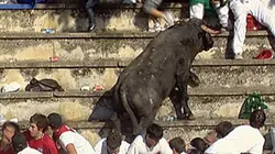 Visuel de Animaux en délire