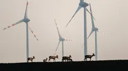 Visuel de Animaux et humains, la Terre en partage