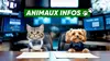 Animaux infos