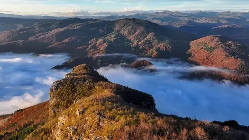 Animaux sans frontières
