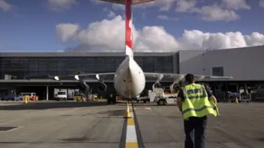 Animaux sous haute surveillance