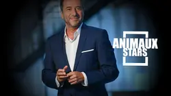 Animaux stars