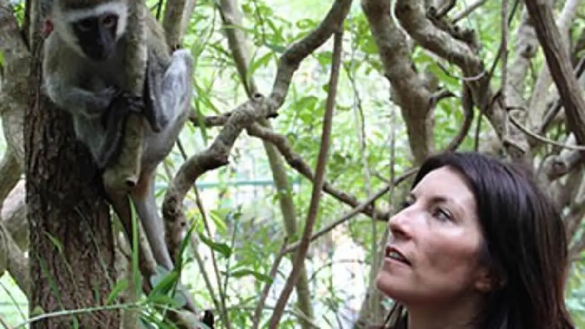 Animaux sur écoute E02 Bavardages entre espèces