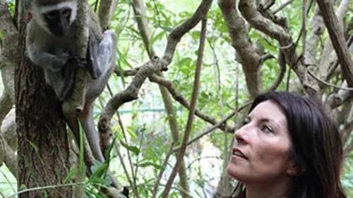 Animaux sur écoute E02 Bavardages entre espèces