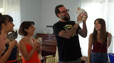 Le carré des chinchillas