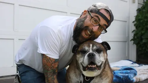 Casting Animaux VIP Palais pour cochon