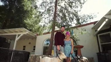 Aire de jeu pour chèvres naines