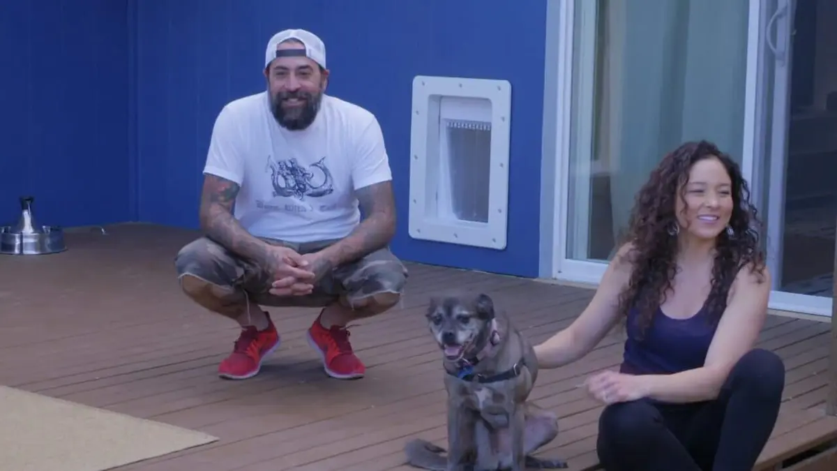 Animaux VIP Invasion animale