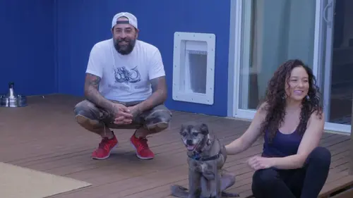 Animaux VIP Invasion animale