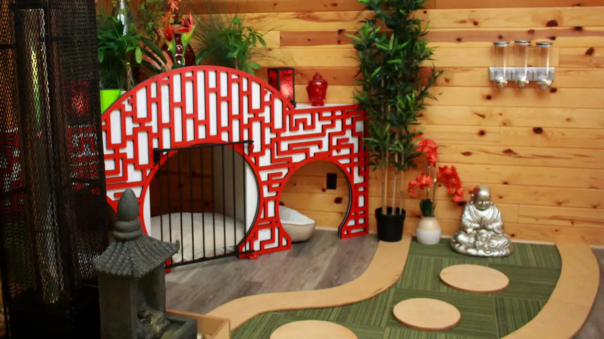 Animaux VIP : une bête de Réno S01E06 Chalet pour chien