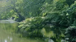 Anime, une épopée japonaise La création