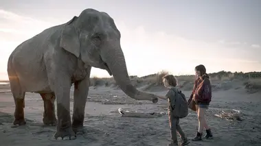 Choses à faire quand maman sera morte