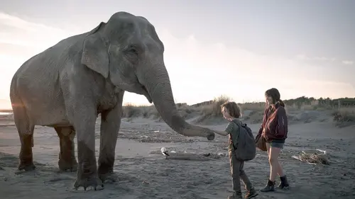 Anna S01E06 Choses à faire quand maman sera morte en streaming