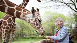 Anne Dagg la passion des girafes
