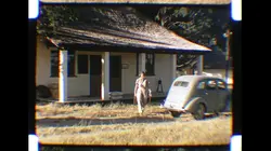 Anne Dagg la passion des girafes