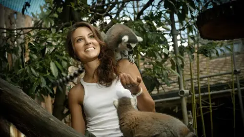 Anne-so what ? Le tétra