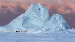 Antarctica, sur les traces de l'empereur