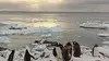 Antarctique, chroniques du bout du monde (2016)