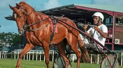 Visuel de Antilles : îles aux champions