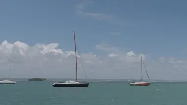 Antilles : la mer en héritage