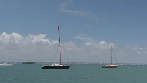 Antilles : la mer en héritage