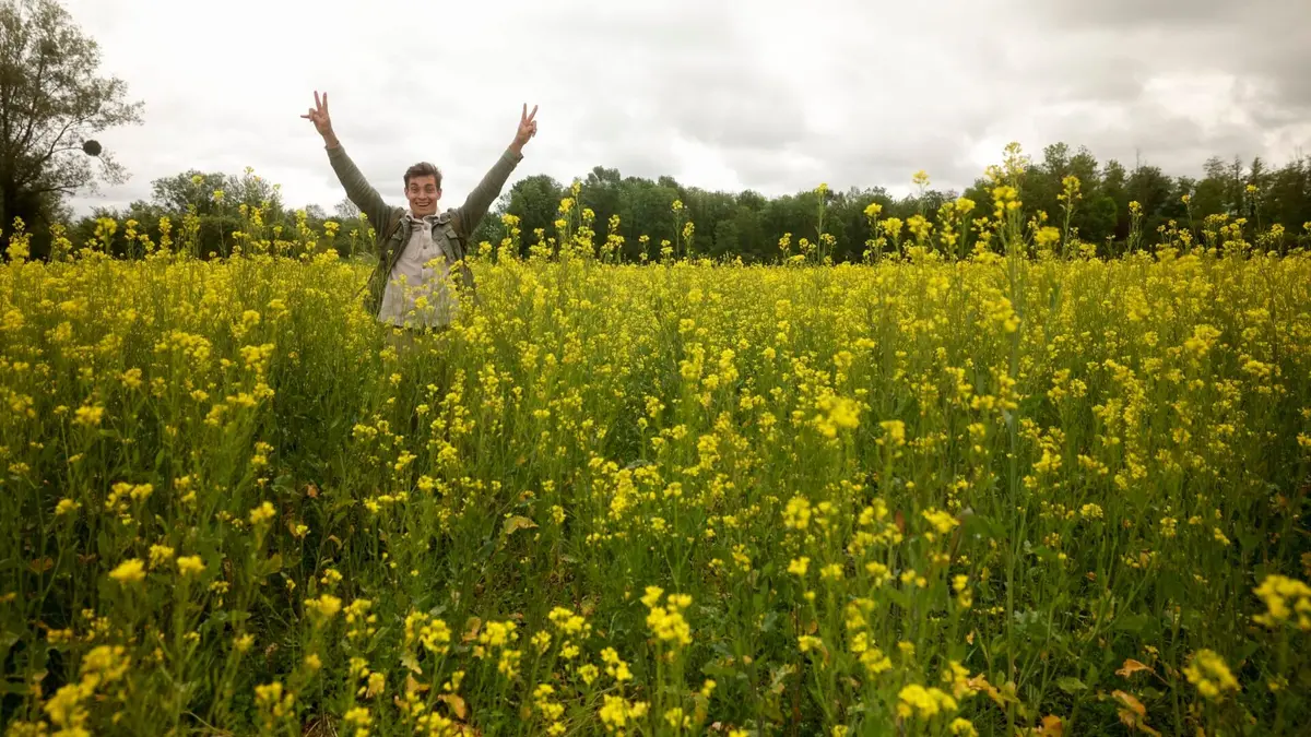 Antoine l'Aventure, les régions de France S03E06 La moutarde de Bourgogne