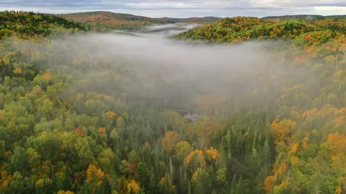Aoskway, sur les traces de l'orignal