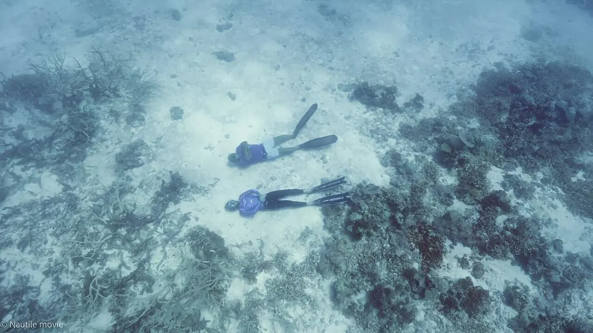 Apnée : inspirations sous les Loyauté