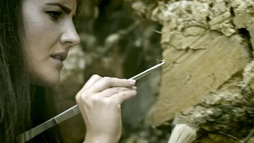 Apocalypses oubliées La chute de l'Empire akkadien