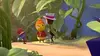 Apollon le grillon et les drôles de petites bêtes