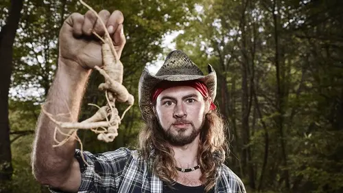 Appalaches rebelles : la fièvre du ginseng