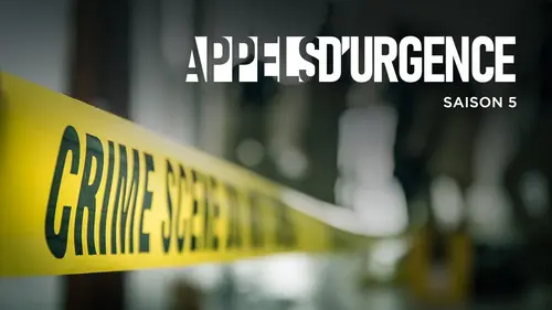 Appels d'urgence S20E194 Pompiers de Perpignan : Urgences en pays catalan