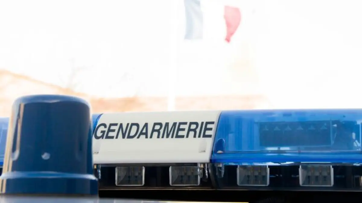 Appels d'urgence S19E164 Chauffards et cambriolages : les gendarmes des Yvelines contre-attaquent