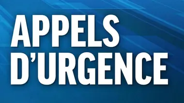 Accidents et interventions à risques : les pompiers d'Agen en première ligne