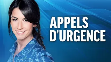 Appels d'urgence Naissances, accidents, opérations : vétos au coeur de l'urgence