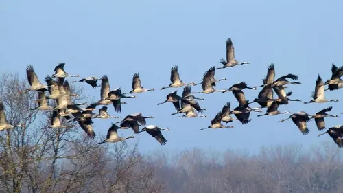 Apprends-moi à voler
