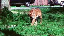 Visuel de Après le volcan