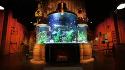 Aquamen Un aquarium alambiqué