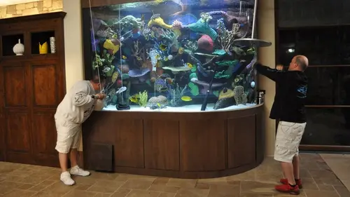 Aquamen S03E02 Guide de remise en forme