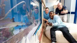 Aquamen S03E10 Tout baigne chez les célébrités