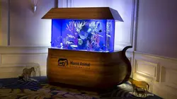 Aquamen S03E18 Rien n'est trop beau pour Betty White